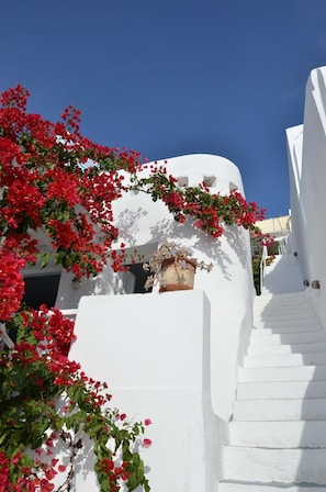 Terrace/patio - Villa Fegari (Santorini)