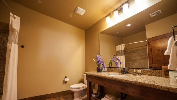 A bathroom with a wooden vanity, a toilet, a shower curtain, and a mirror. - Cable Mountain Lodge (Springdale)