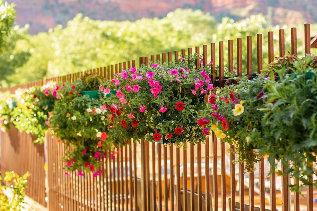 A wooden fence with hanging flower baskets containing pink, red, and yellow flowers.