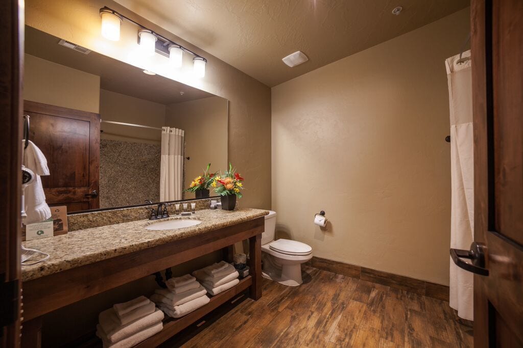 Une salle de bain avec un meuble-lavabo en bois, un grand miroir, des toilettes et un rideau de douche.