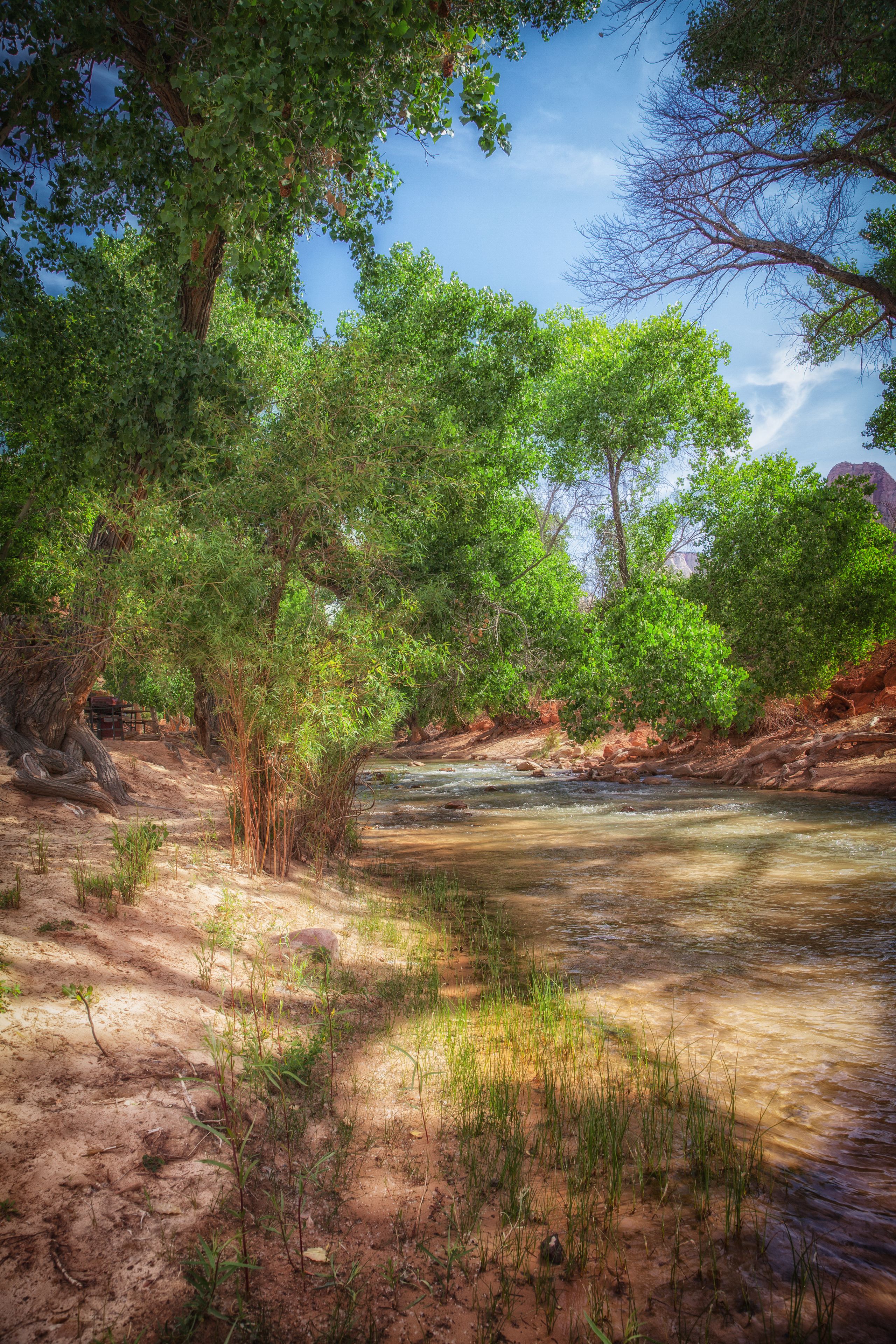 A natural landscape with a river, trees, and a dirt path.
