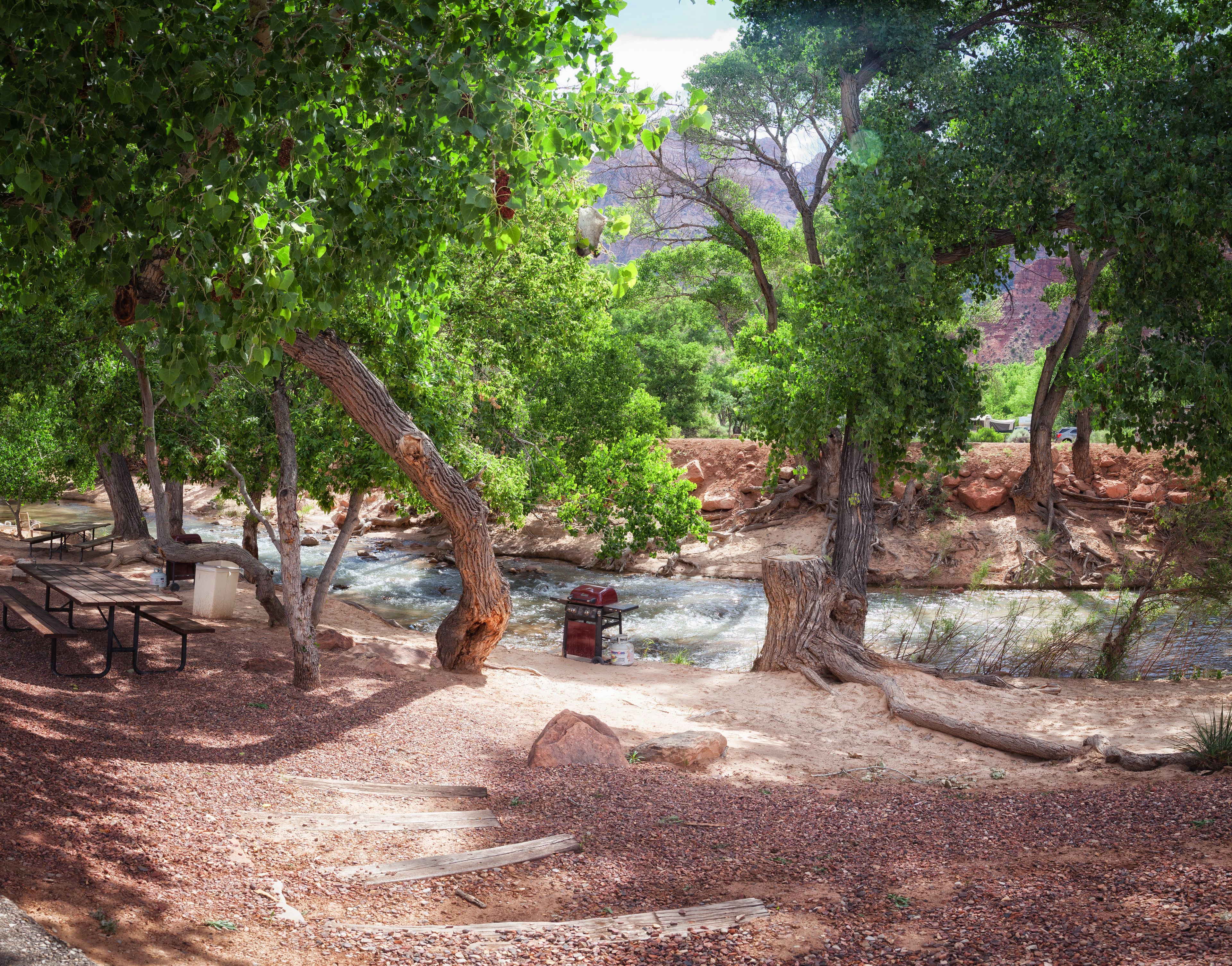 Un camping con mesas de picnic, una fogata y un río.