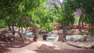 Un camping con mesas de picnic, una fogata y un río.
