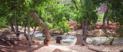 A campsite with picnic tables, a fire pit, and a river.