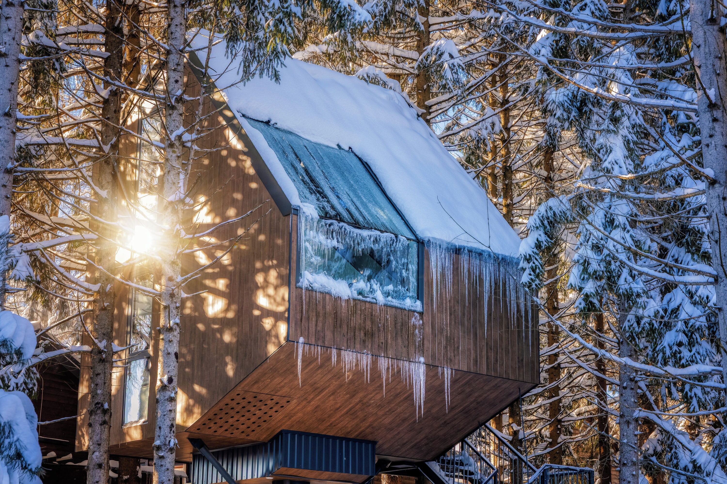 Tree House  | Iron/ironing board, free WiFi, bed sheets