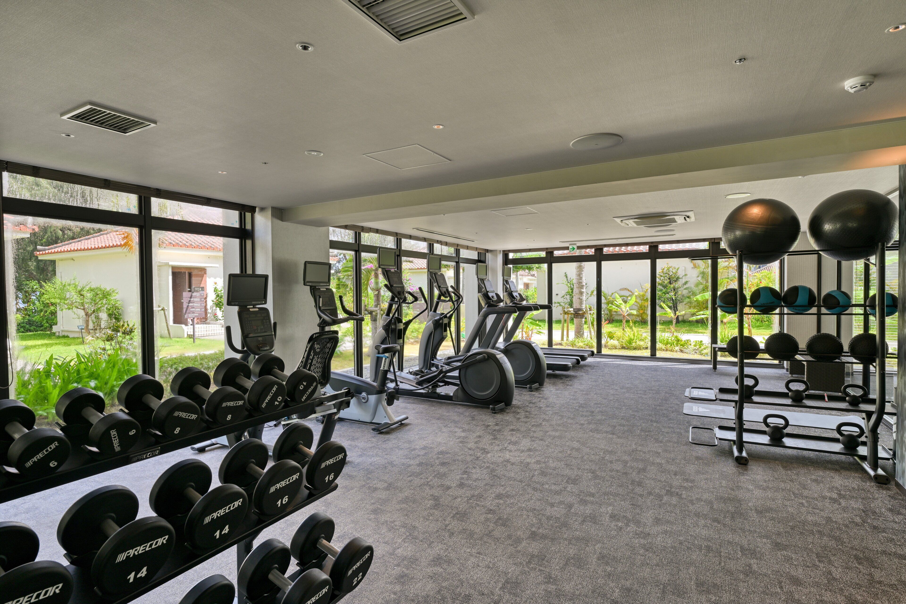 A gym with weightlifting equipment, treadmills, and exercise balls.