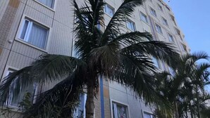 外觀
