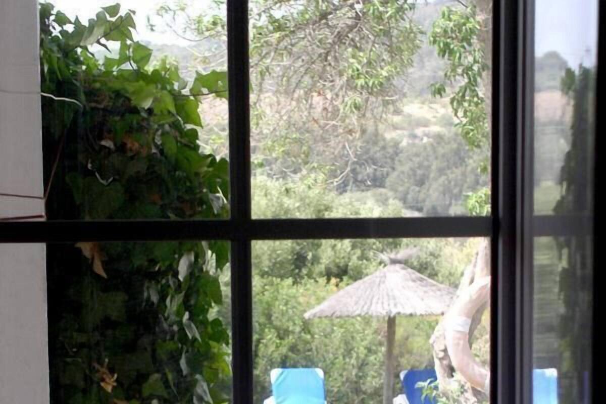 A window with a view of a pool area, including blue chairs and a thatched umbrella.