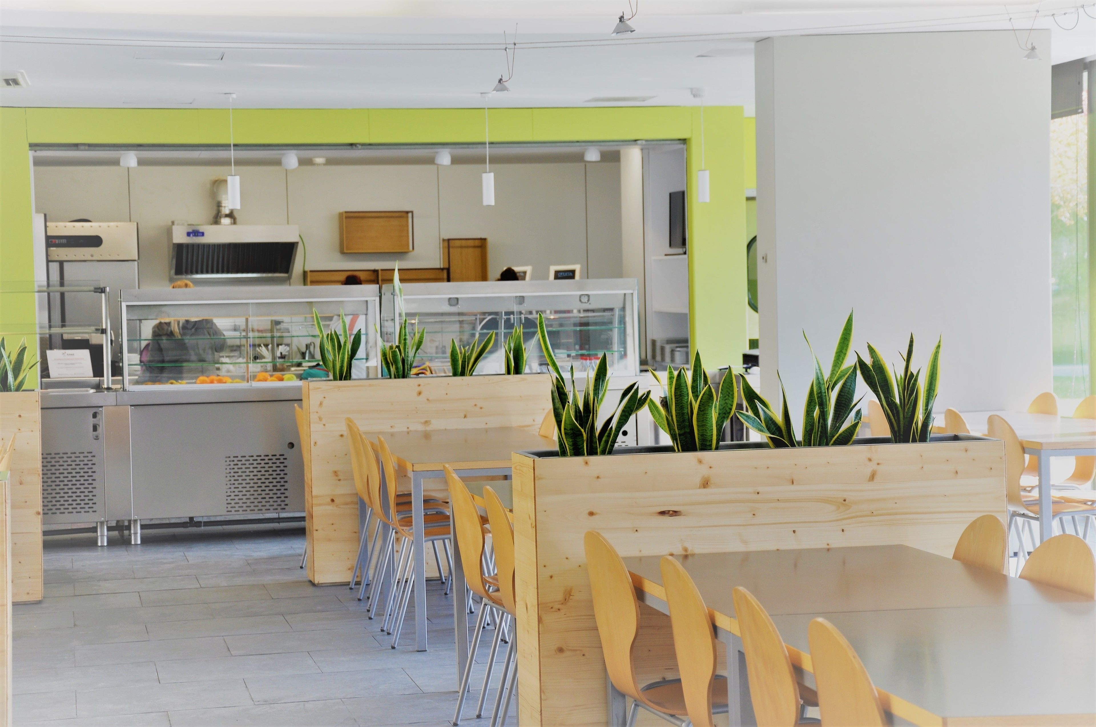 Een modern café met houten meubels, een glazen vitrine en groene wanden.