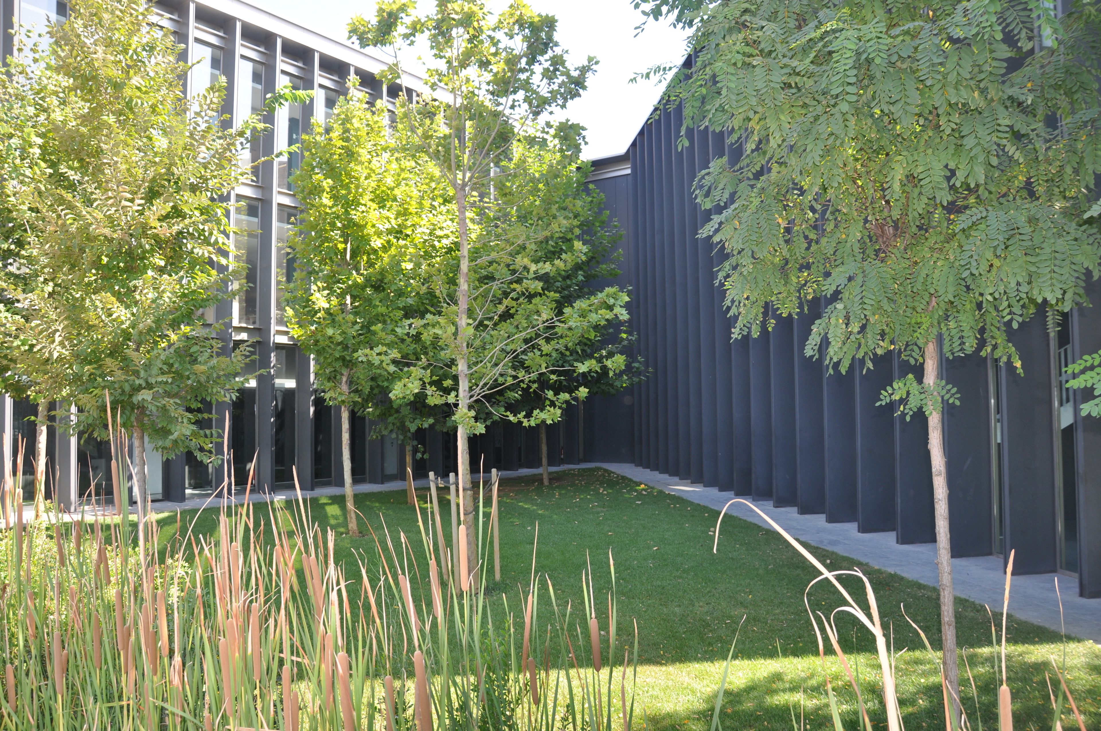 Foto - Centre Esplai Albergue