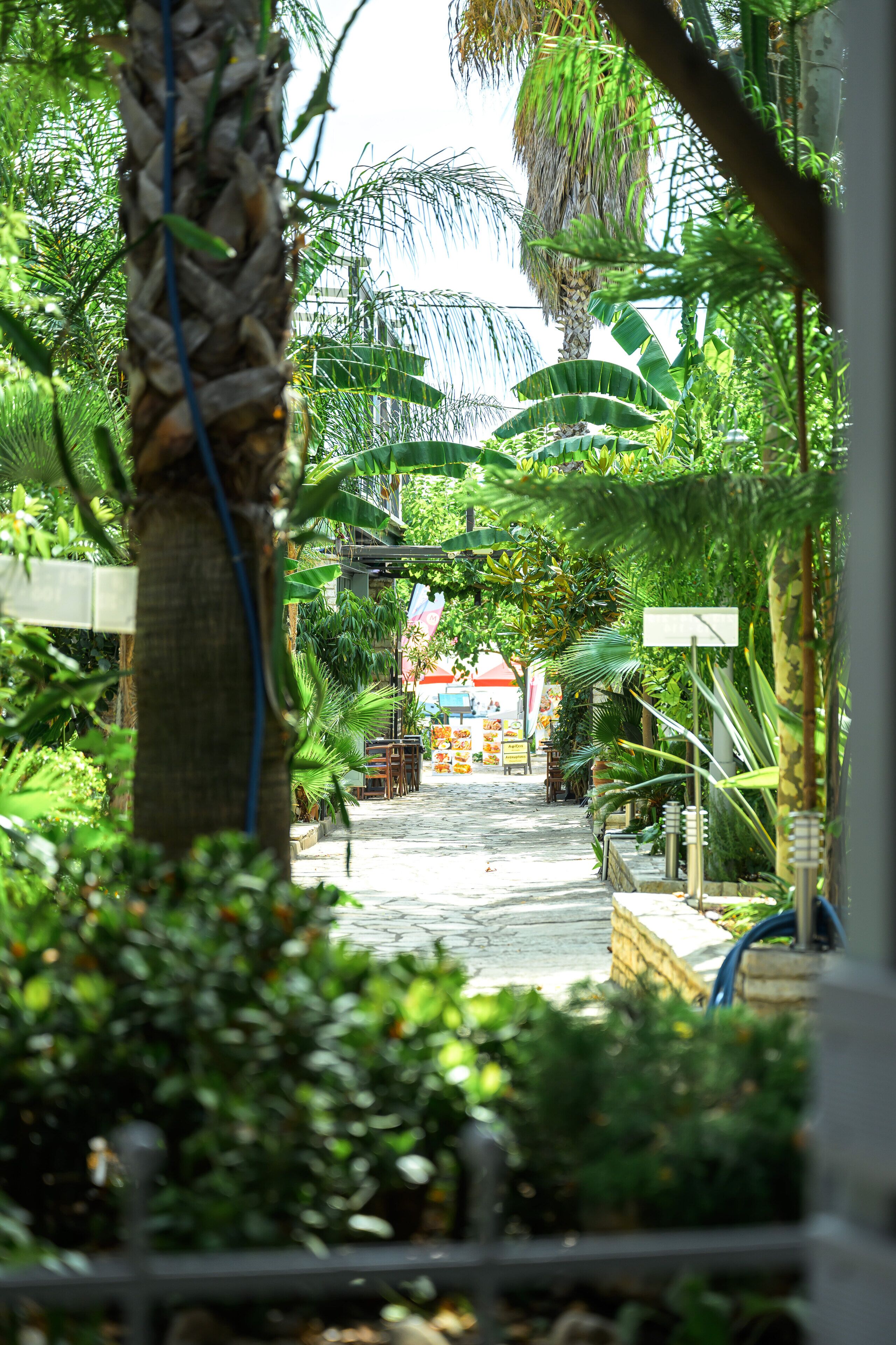 A narrow pathway flanked by lush greenery and a building with a red and white sign.