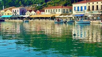 A coastal town with buildings along the waterfront, boats docked, and a hill with a house in the background.