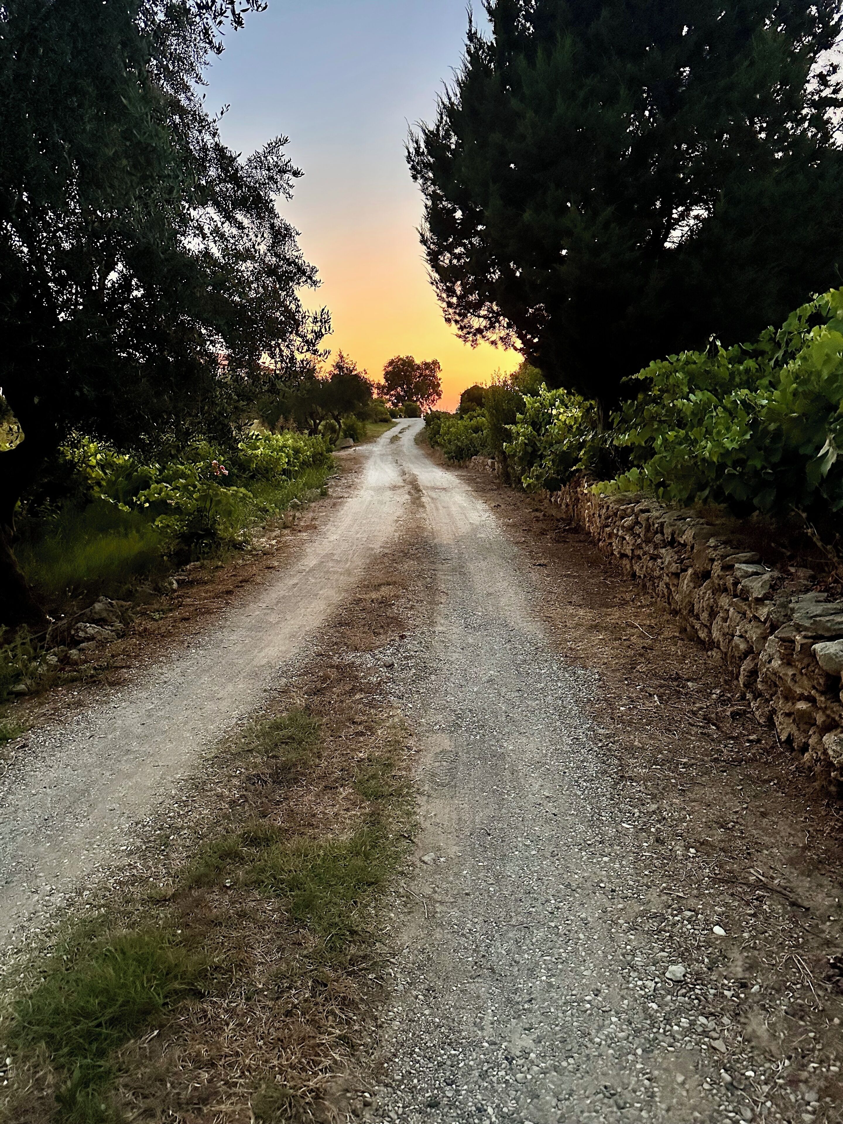A gravel road flanked by stone walls and dense foliage, leading towards a sunset.