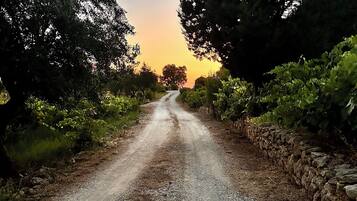 A gravel road flanked by stone walls and dense foliage, leading towards a sunset.