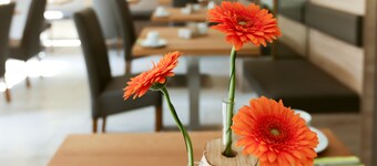 Hotel Garni Grundmühle