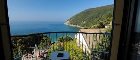 View from room
