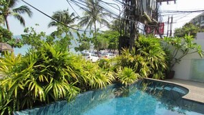Una piscina rodeada de exuberante vegetación y palmeras, con vista a coches estacionados y un edificio al fondo.