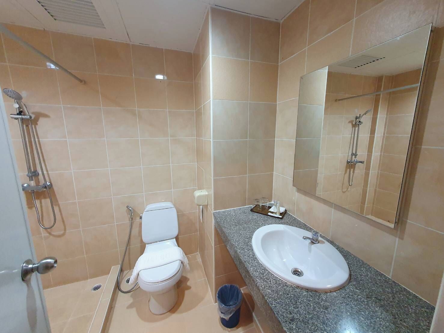 Un baño con inodoro, lavamanos y ducha.