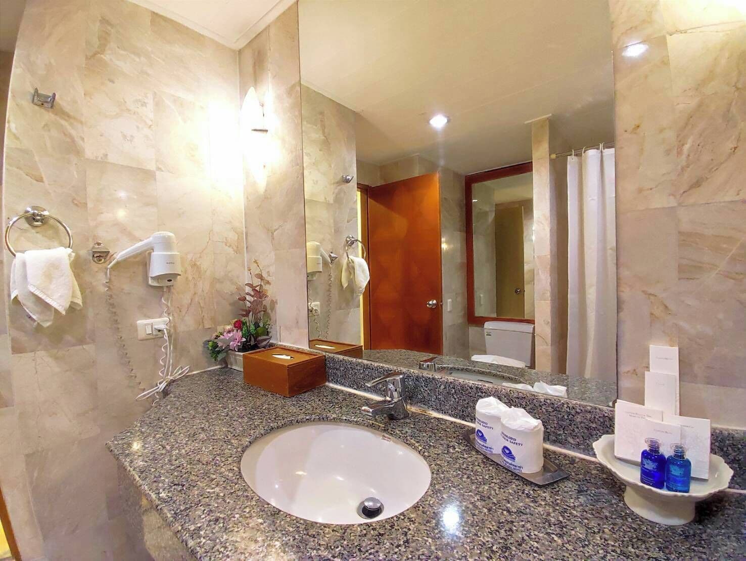 Une salle de bain avec un comptoir en granit, un lavabo blanc, un miroir, un porte-serviettes, un sèche-cheveux et une petite plante.