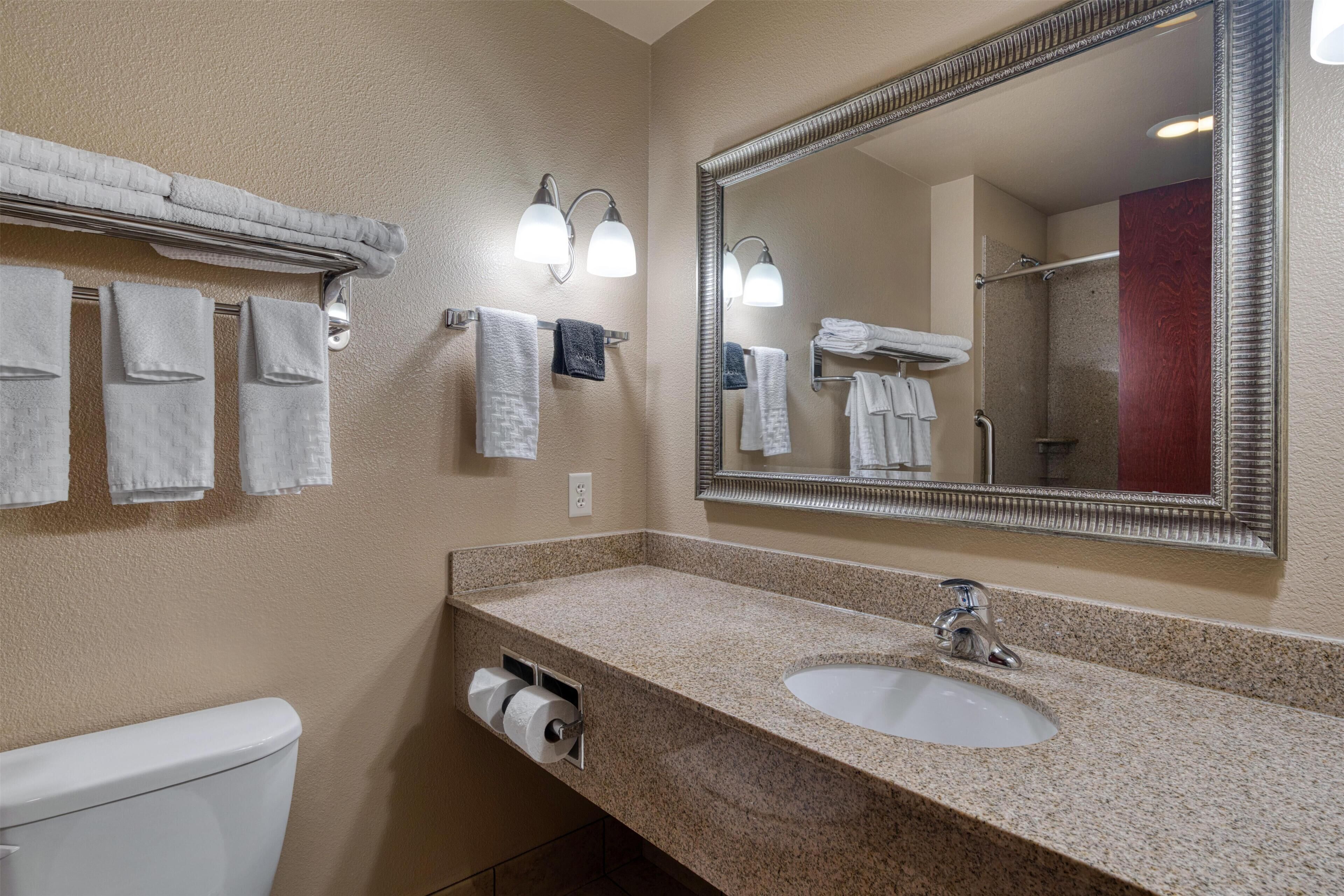 A bathroom with a granite countertop, a sink, a toilet, and a wall-mounted mirror.