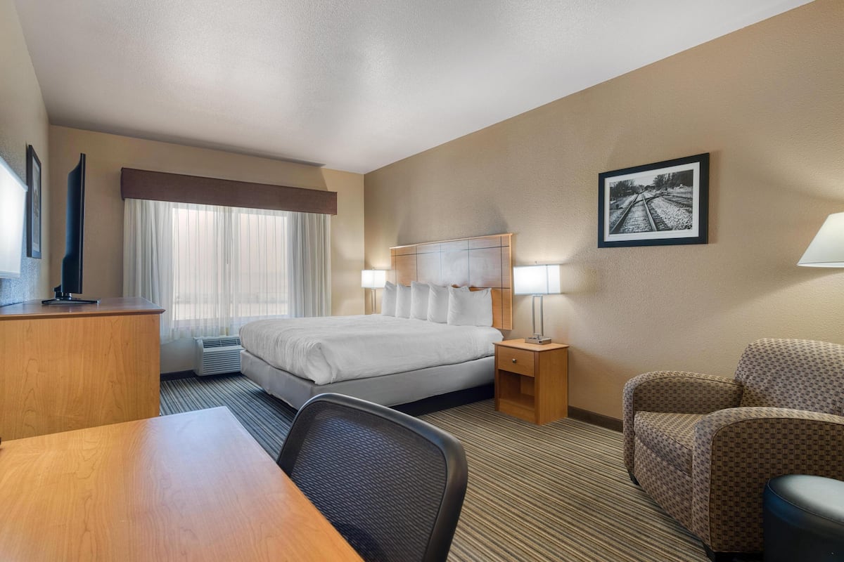 羽絨被、書桌、熨斗/熨衫板、免費嬰兒床