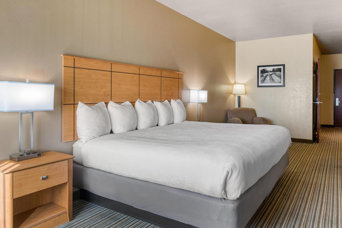Chambre Standard, 1 très grand lit, accessible aux personnes à mobilité réduite | Couette en duvet d'oie, bureau, fer et planche à repasser
