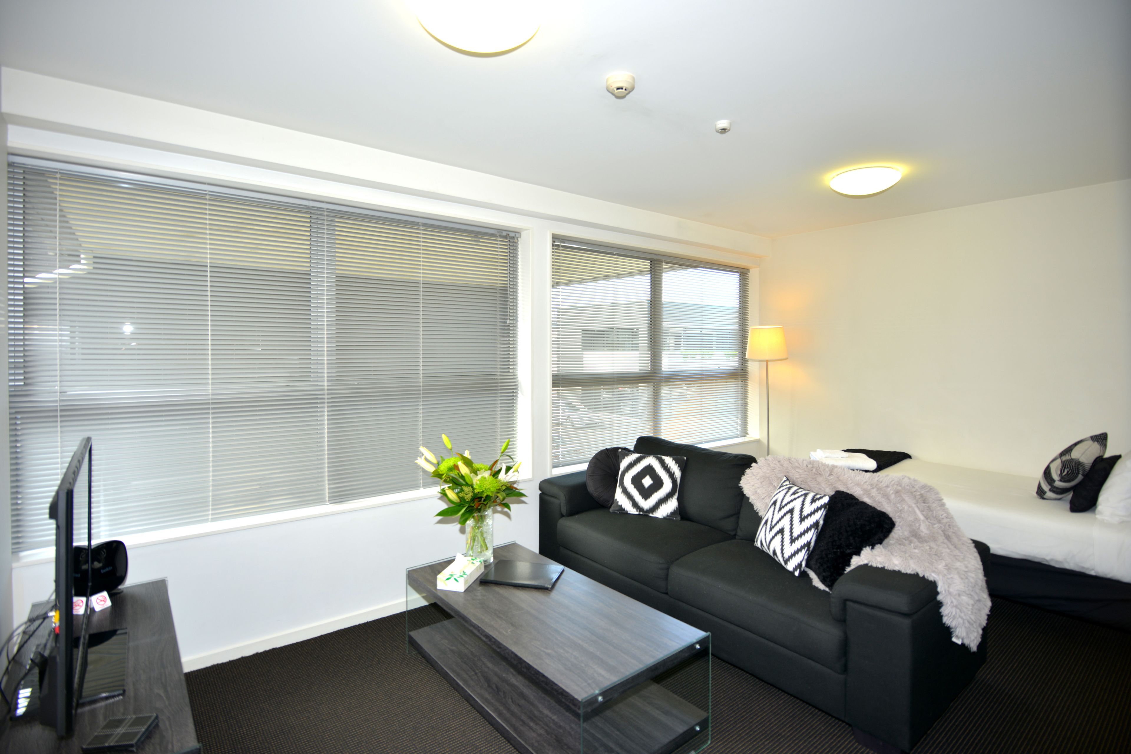 A modern living room with a black sofa, a coffee table, and a TV. There are large windows with blinds, a lamp, and a decorative plant.