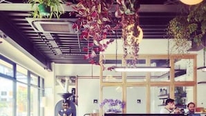 Una cafetería con una decoración moderna, que incluye un mostrador con vitrina, zonas de estar y plantas colgantes.