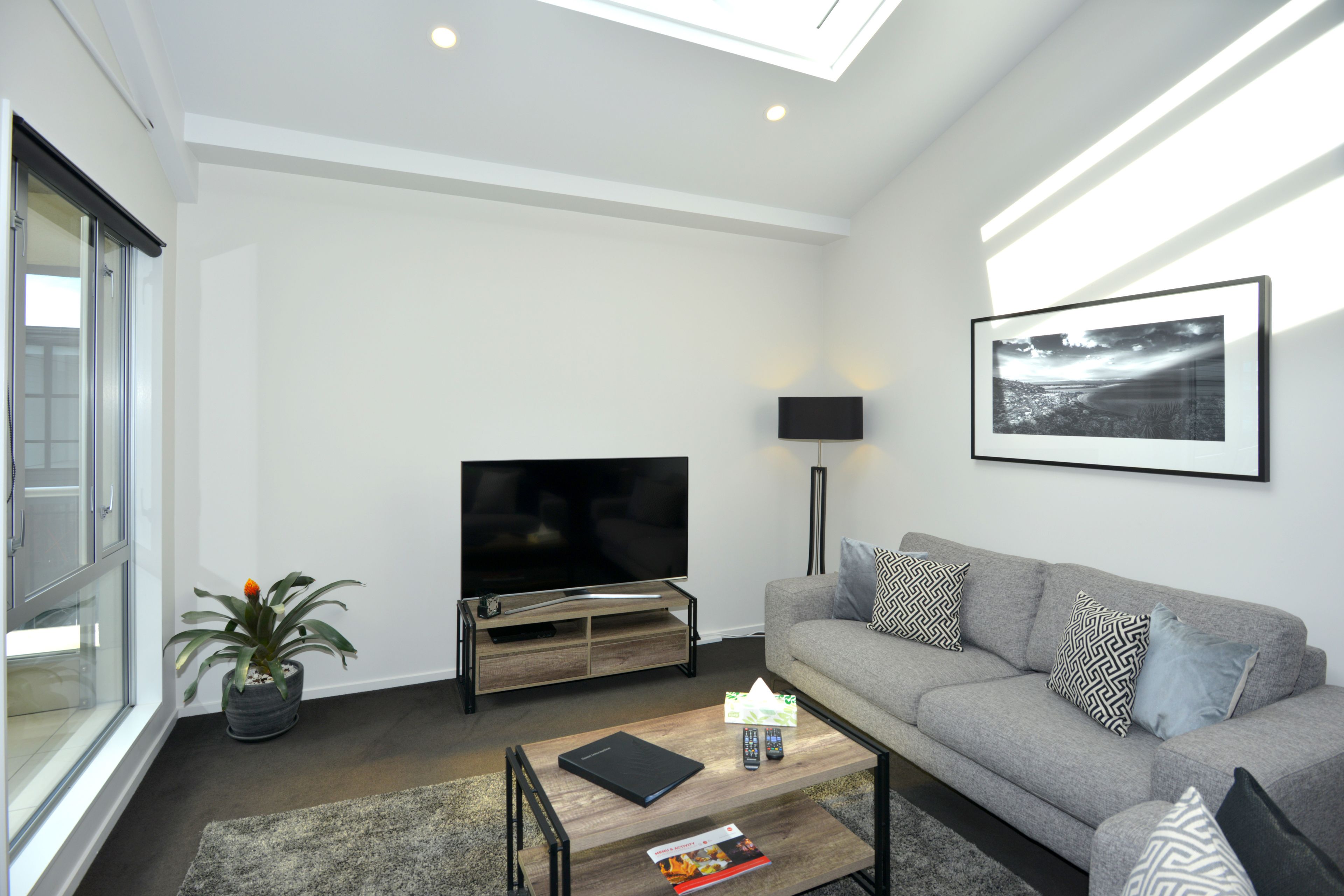 A modern living room with a flat-screen TV, grey sofa, patterned cushions, a coffee table with books and remote controls, a potted plant, and a framed picture on the wall.