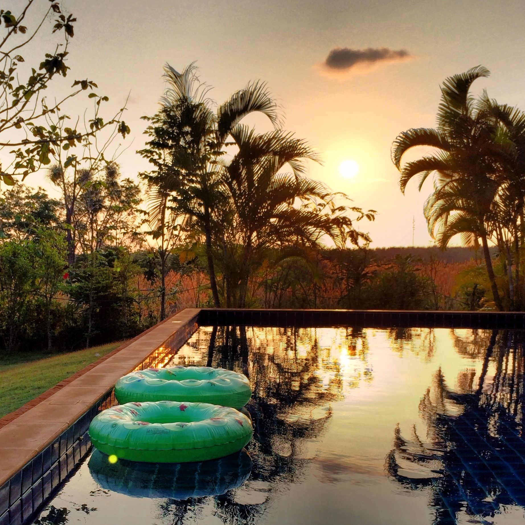 outdoor pool, pool umbrellas, pool loungers