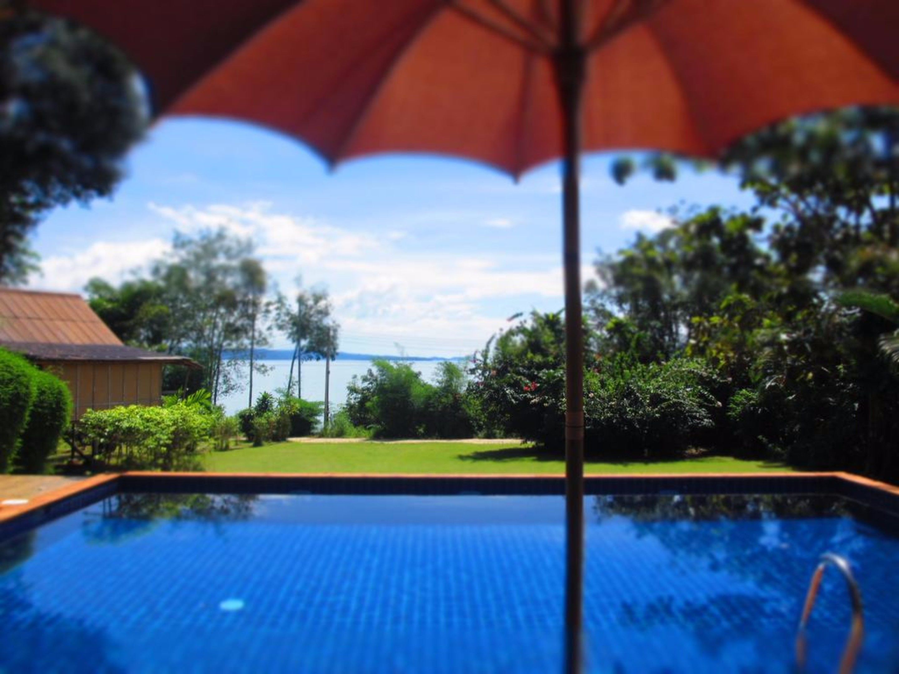 outdoor pool, pool umbrellas, pool loungers