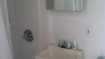 Standard Room | Bathroom | Shower, bathrobes, towels