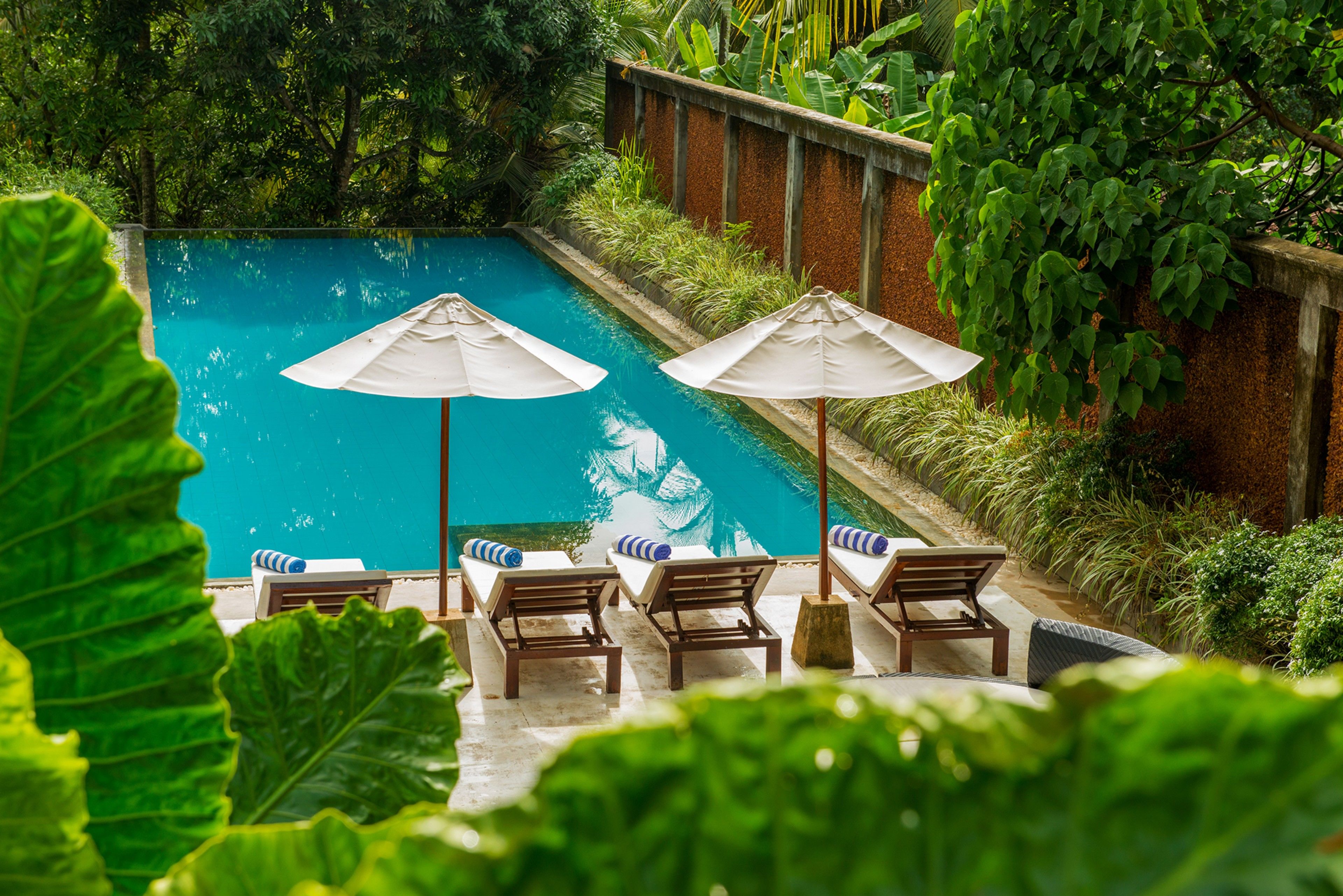 Outdoor pool, pool umbrellas, pool loungers