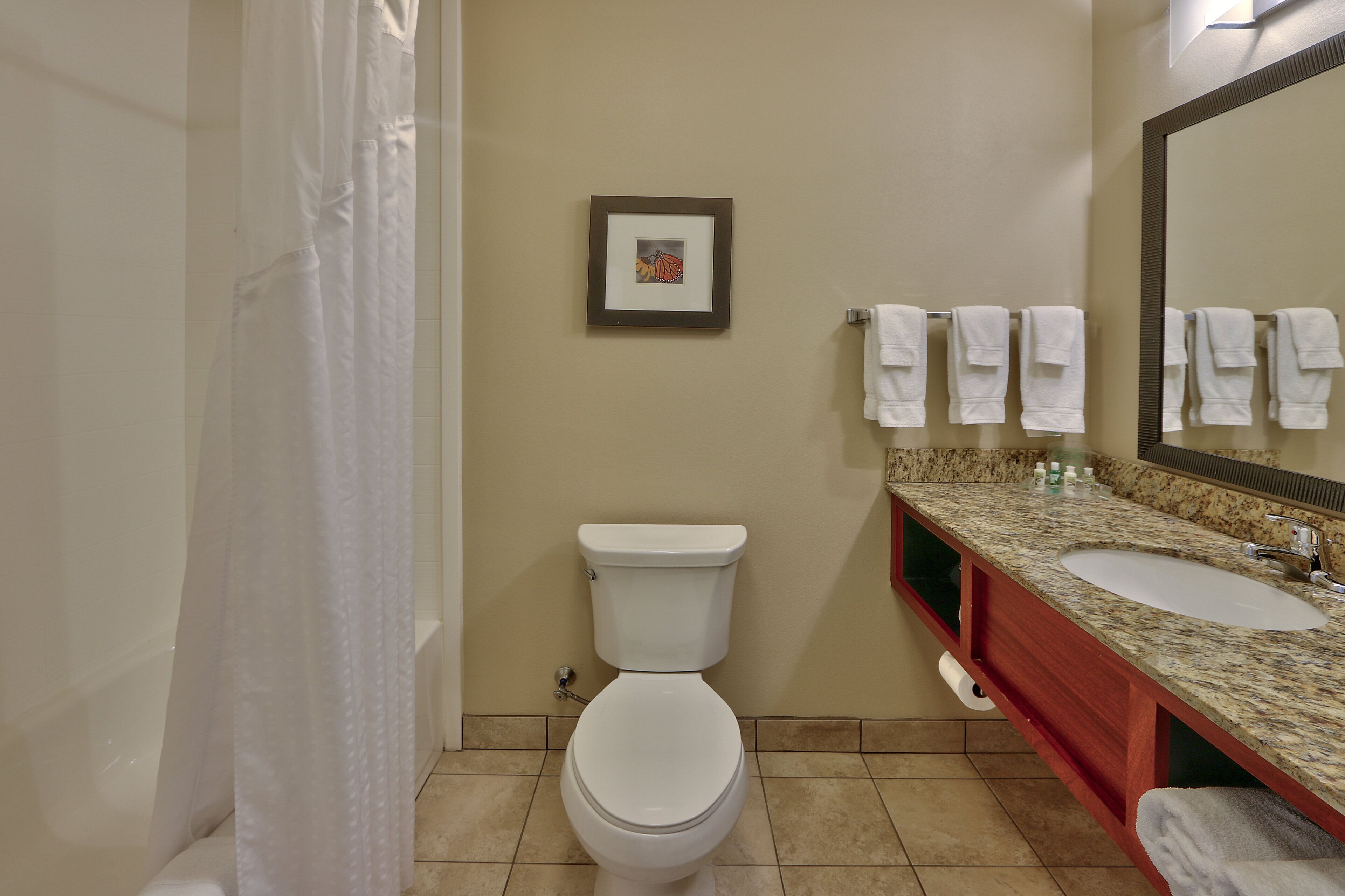 A bathroom with a toilet, a sink, a mirror, and a shower curtain.