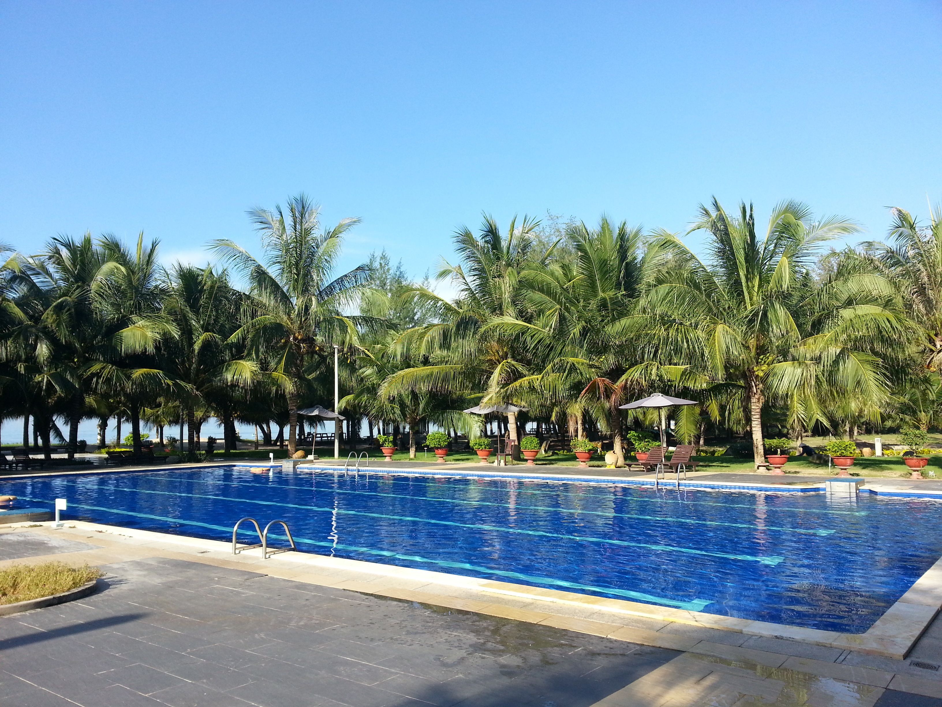 Una piscina con palmeras y sombrillas al fondo.