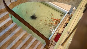 A pool with koi fish, a wooden staircase, and a tiled floor. - Wangtai Hotel (Surat Thani)