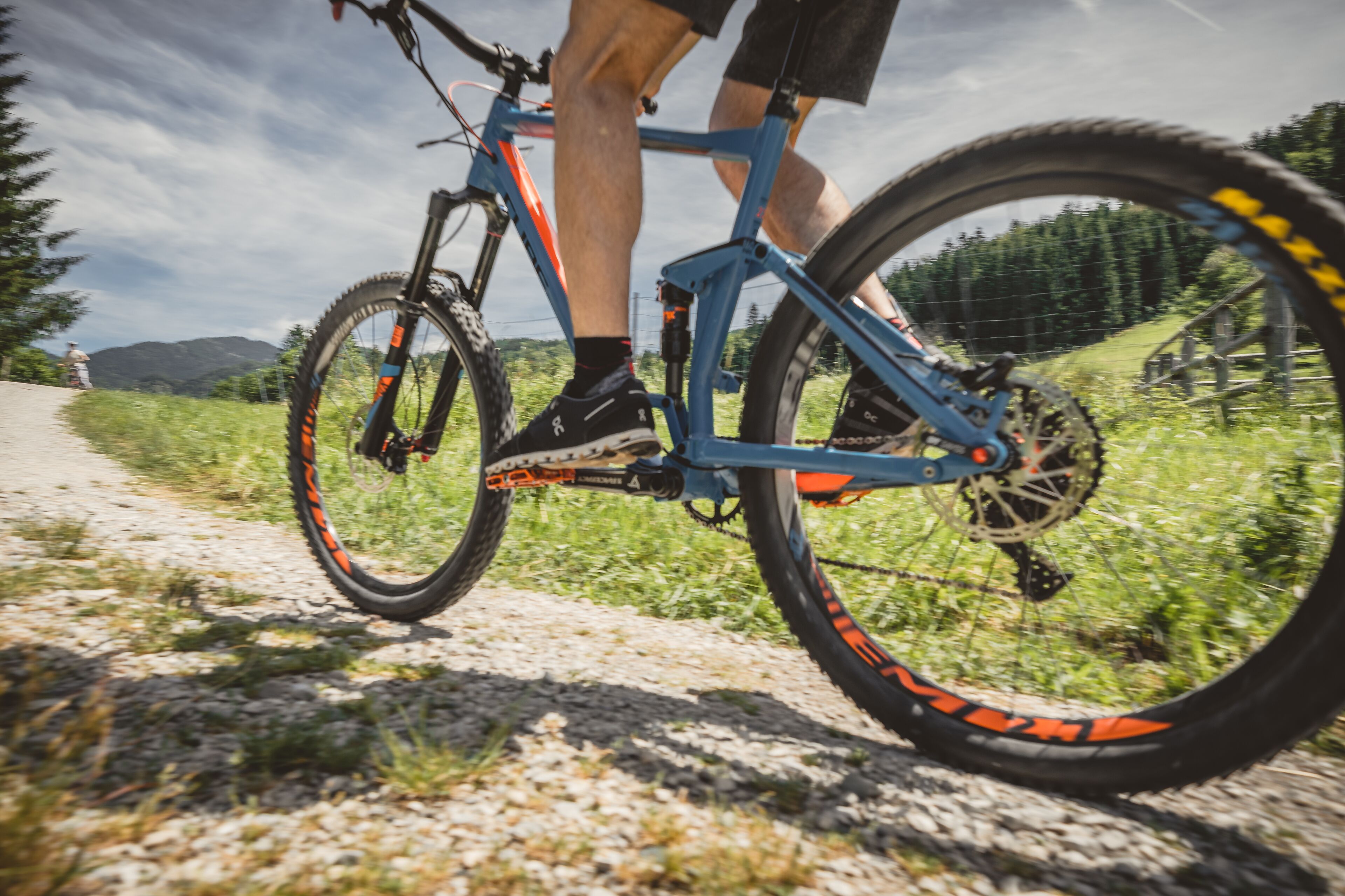 A mountain bike on a gravel path with a forested background.