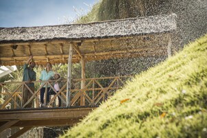 A wooden structure with a thatched roof, likely a viewing platform or observation deck, surrounded by greenery.