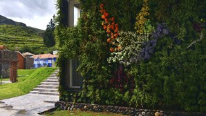 Un chemin de pierres mène à un bâtiment dont le mur est recouvert d’un jardin vertical composé de différentes plantes et fleurs.