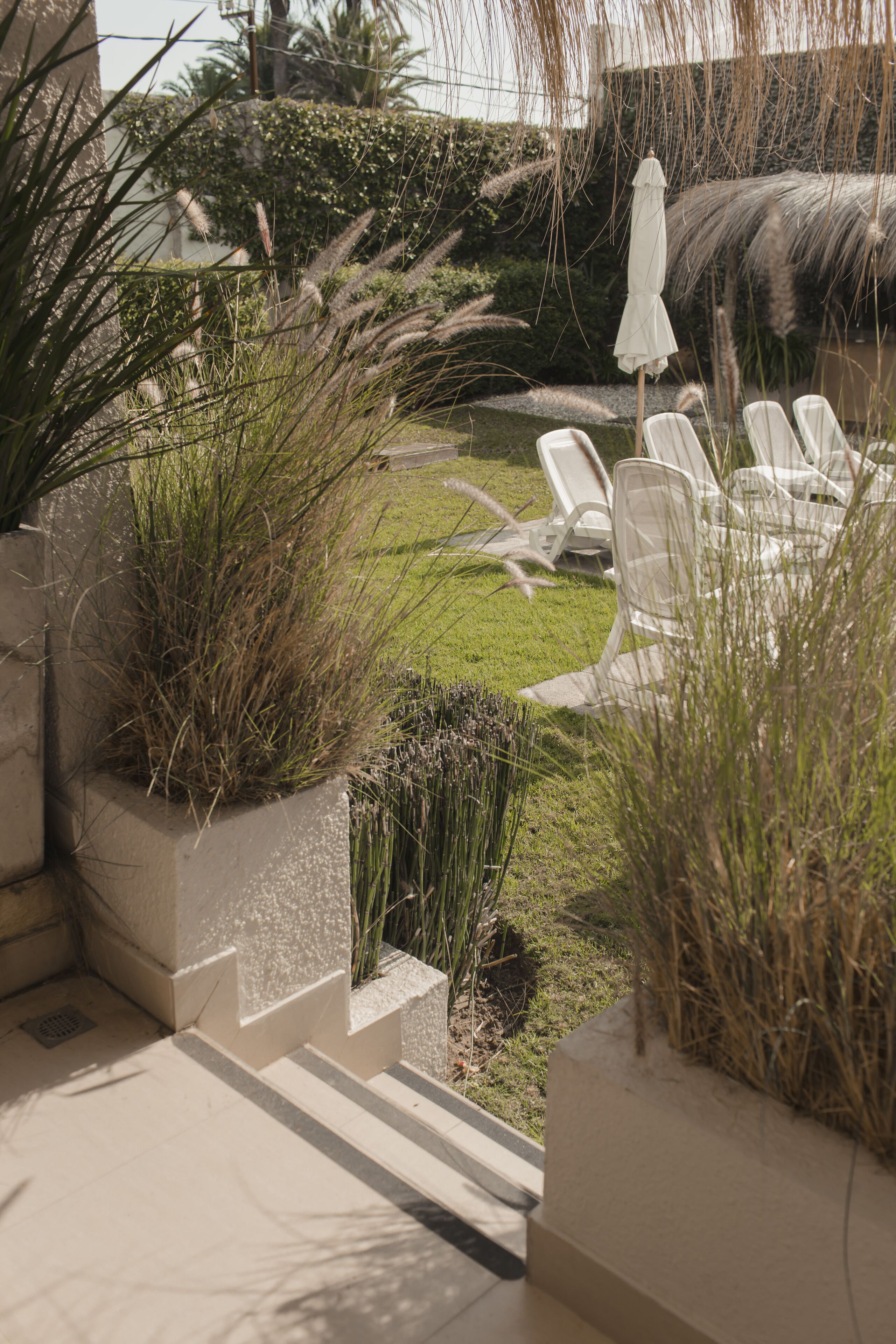 Terraza o patio