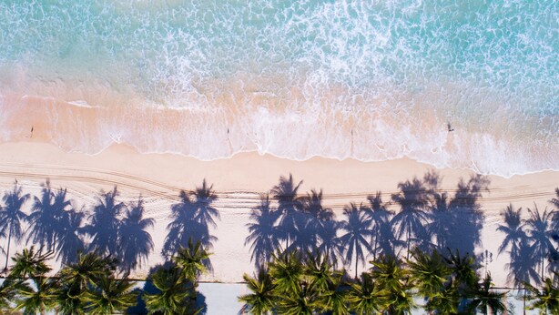An aerial view of a beach with palm trees and a sandy shore. - Casa Del M Phuket (Patong)