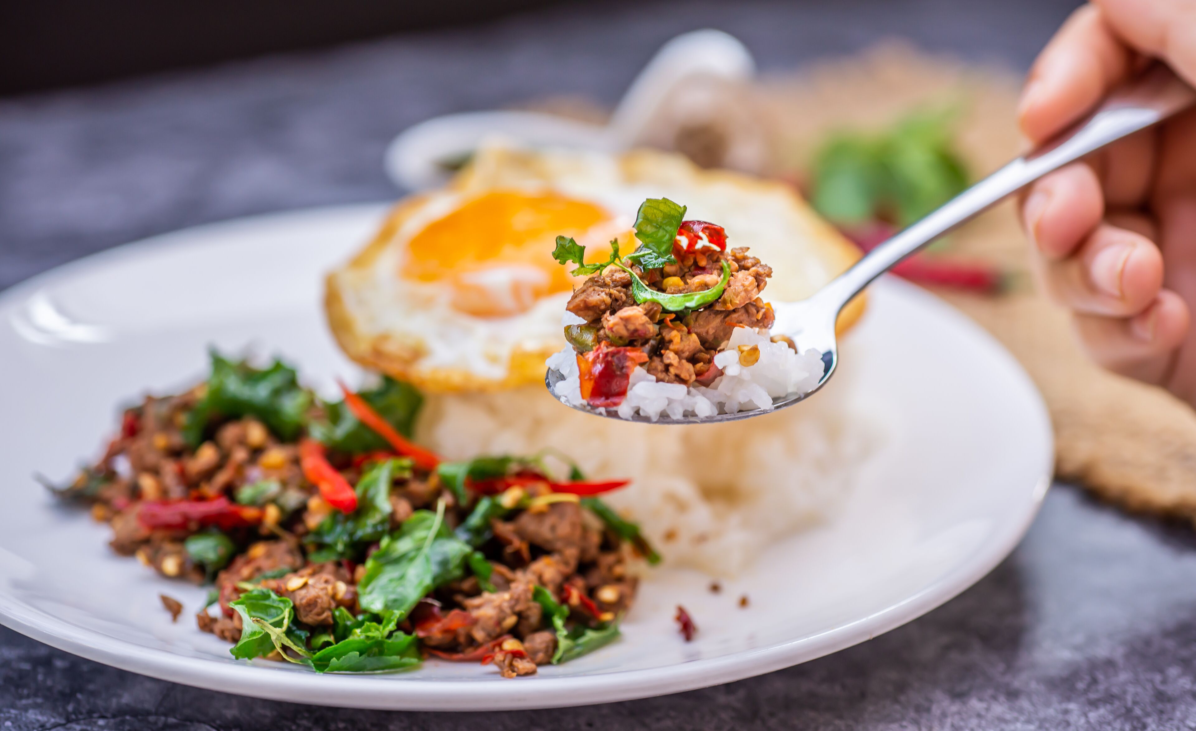 A plate of food with a fried egg, minced meat, and vegetables.
