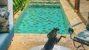Un espace piscine doté d’un sol carrelé, d’une statue et entouré de verdure.