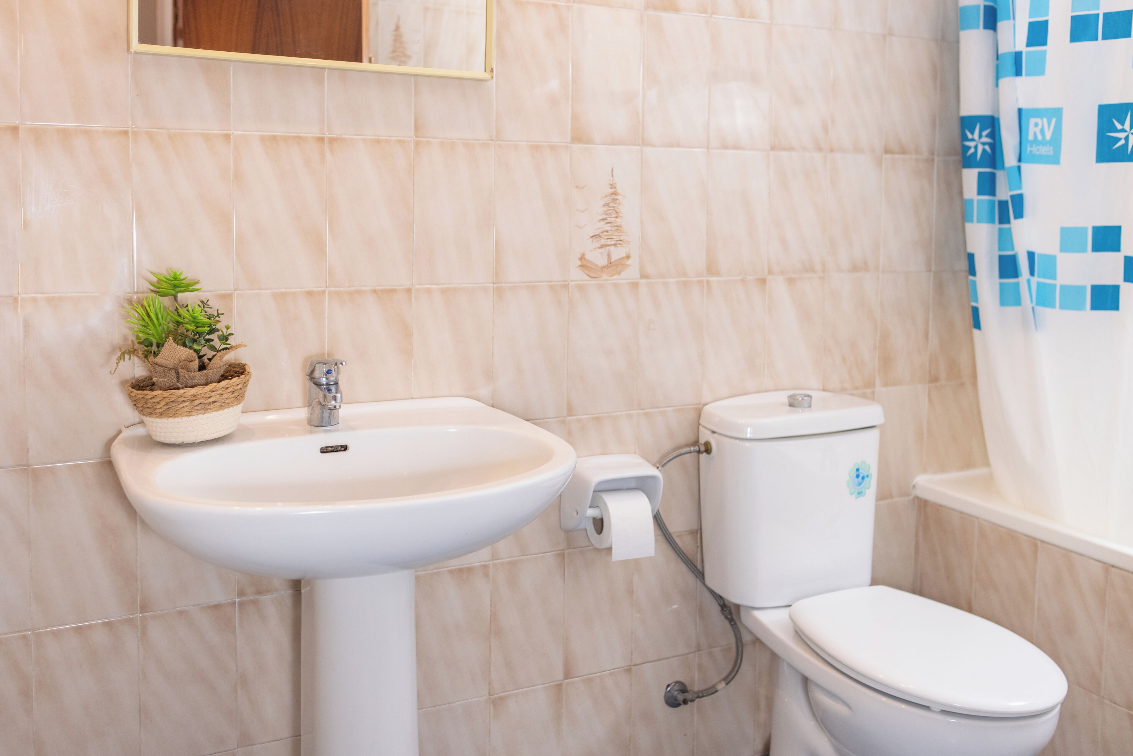 A bathroom with a sink, toilet, and a small plant on the sink.