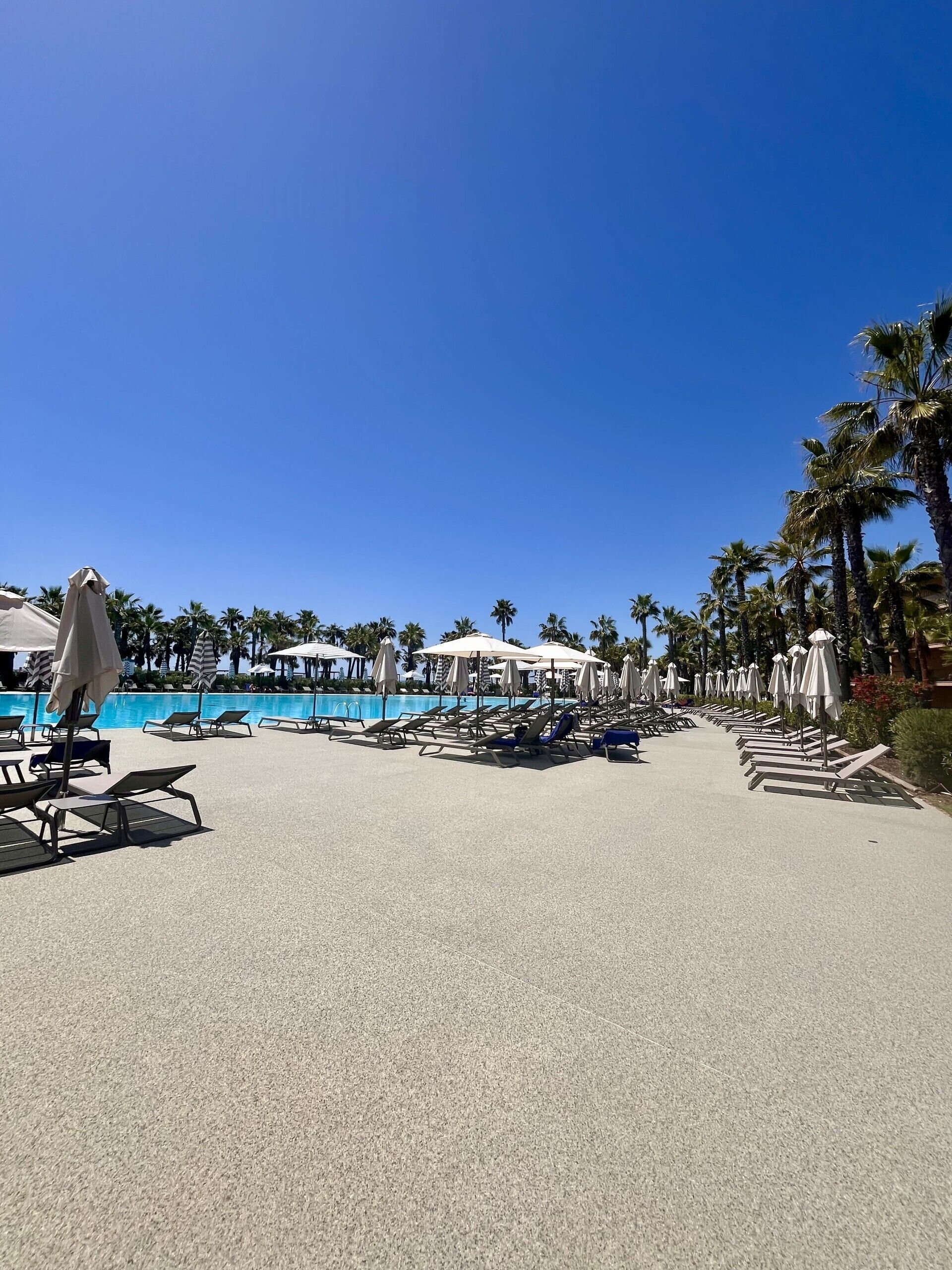 A poolside area with lounge chairs and umbrellas, palm trees, and a clear blue sky.
