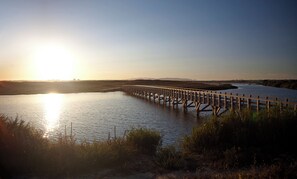 Hiking - Wine & Books by the Sea, Algarve Resort (Albufeira)
