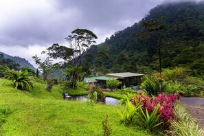 Property grounds - Hotel Quelitales (Cachi)