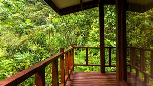 A wooden deck with a view of dense tropical foliage. - Hotel Quelitales (Cachi)