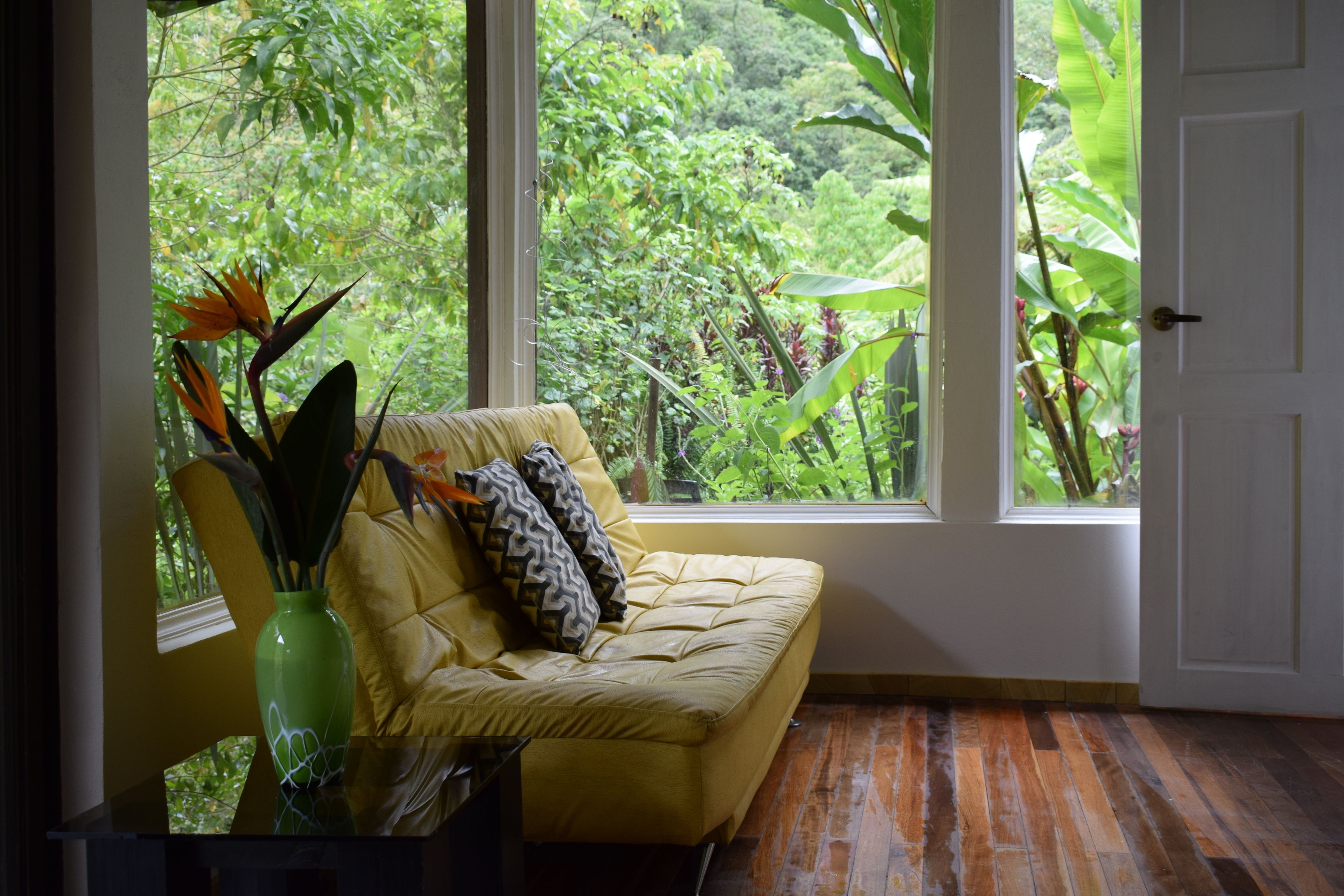 superior bungalow, 1 king bed, terrace, garden view | view from room