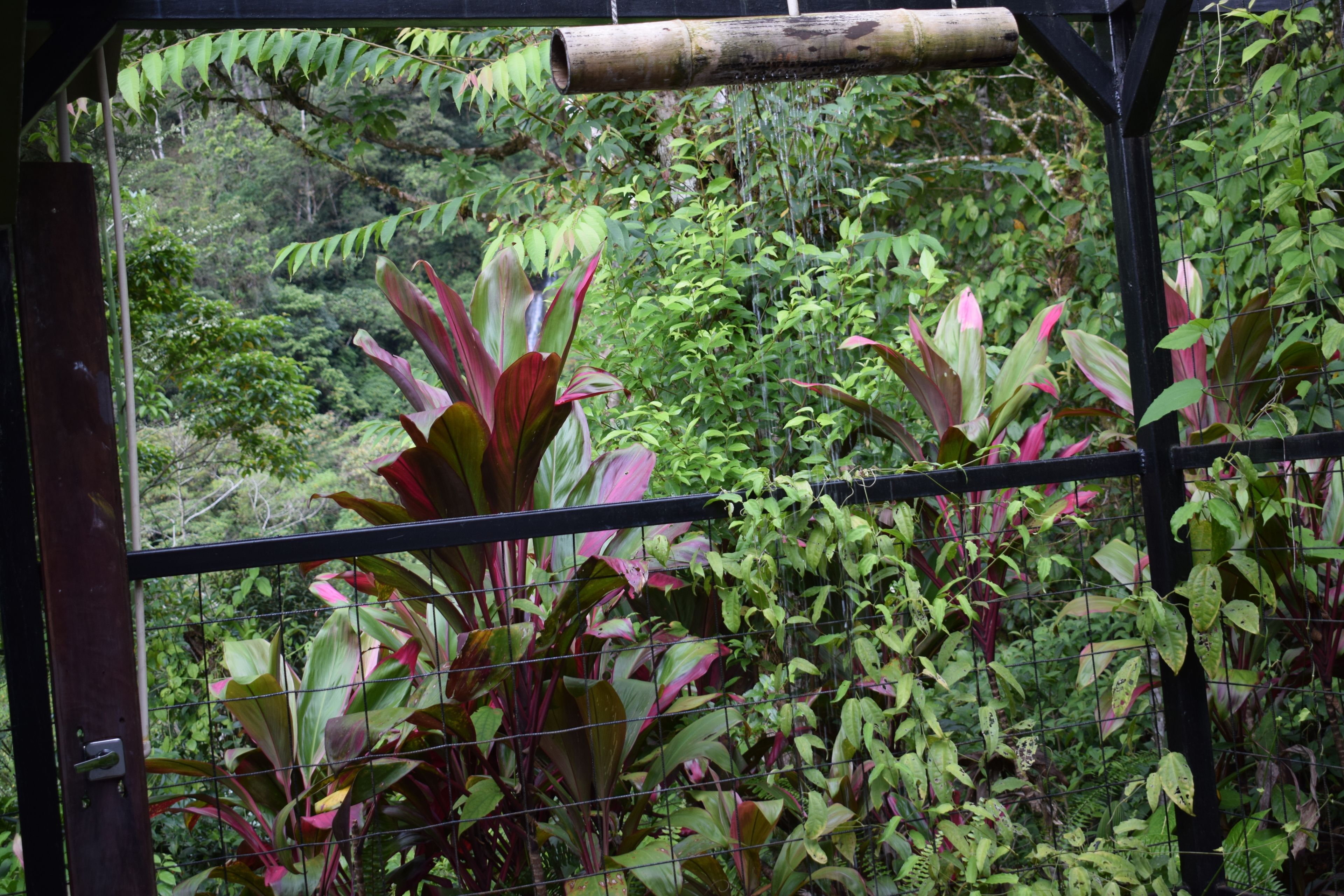 panoramic bungalow, 1 king bed with sofa bed, 2 bathrooms, mountain view | garden view